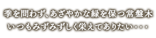 季を問わず、鮮やかな緑を保つ常盤木　いつもみずみずしく栄えてありたい...